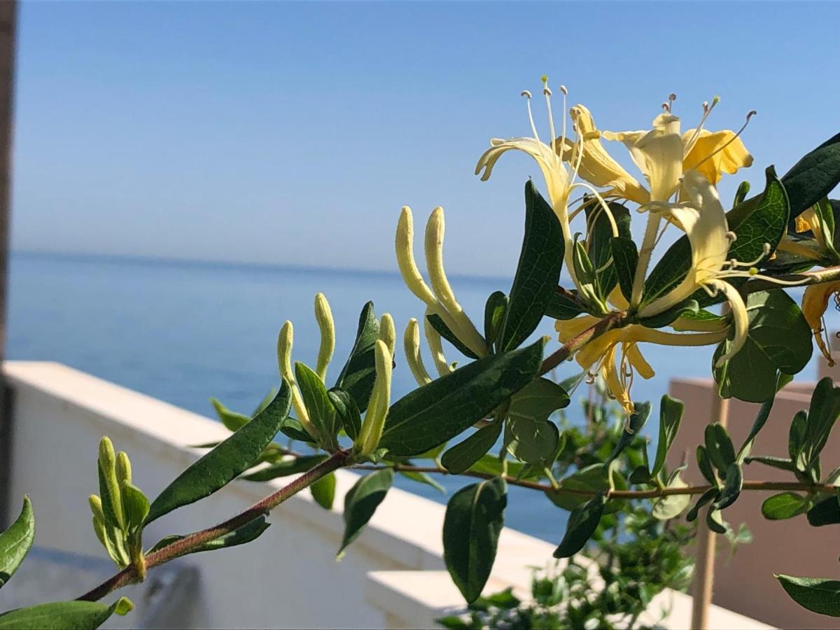 La Cala Del MoralAtico En La Playa Con Terraza Privadaアパートメント エクステリア 写真